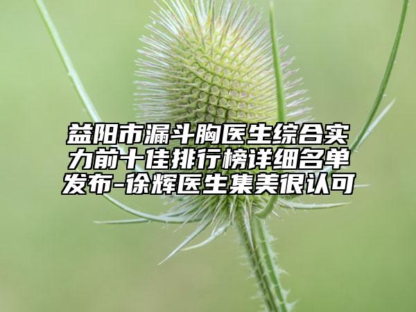 益陽市漏斗胸醫(yī)生綜合實(shí)力前十佳排行榜詳細(xì)名單發(fā)布-徐輝醫(yī)生集美很認(rèn)可