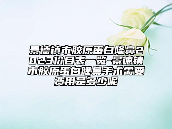 景德鎮(zhèn)市膠原蛋白隆鼻2023價目表一覽-景德鎮(zhèn)市膠原蛋白隆鼻手術(shù)需要費用是多少呢