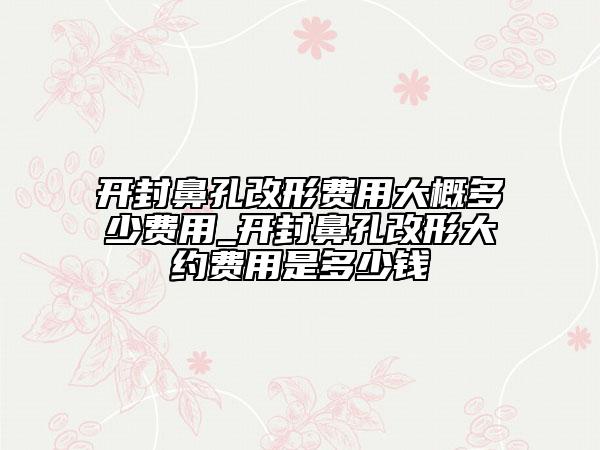 開封鼻孔改形費(fèi)用大概多少費(fèi)用_開封鼻孔改形大約費(fèi)用是多少錢