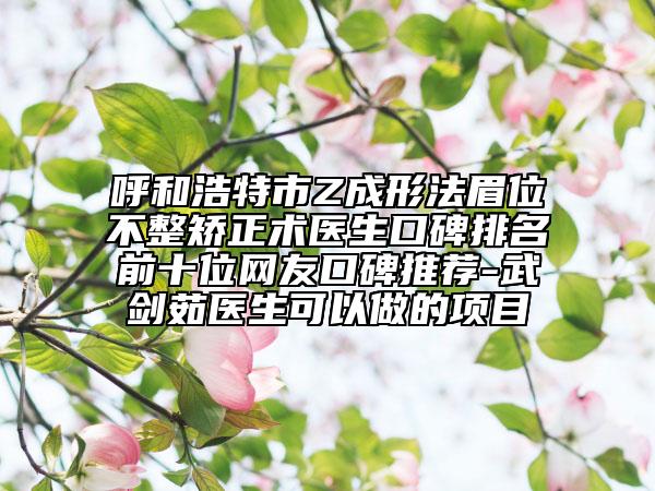 呼和浩特市Z成形法眉位不整矯正術(shù)醫(yī)生口碑排名前十位網(wǎng)友口碑推薦-武劍茹醫(yī)生可以做的項(xiàng)目