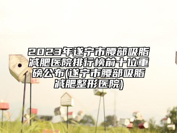 2023年遂寧市腰部吸脂減肥醫(yī)院排行榜前十位重磅公布(遂寧市腰部吸脂減肥整形醫(yī)院)