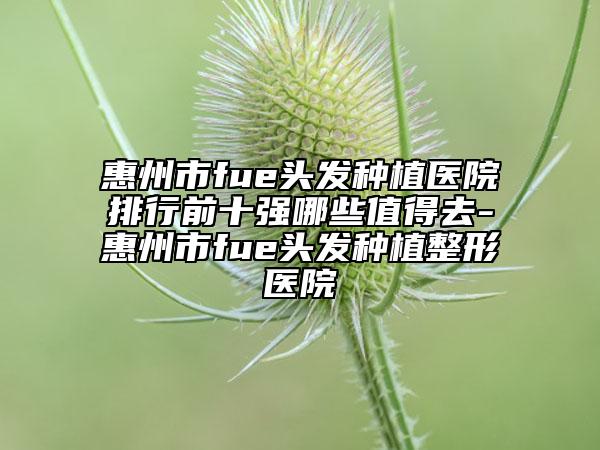 惠州市fue頭發(fā)種植醫(yī)院排行前十強哪些值得去-惠州市fue頭發(fā)種植整形醫(yī)院