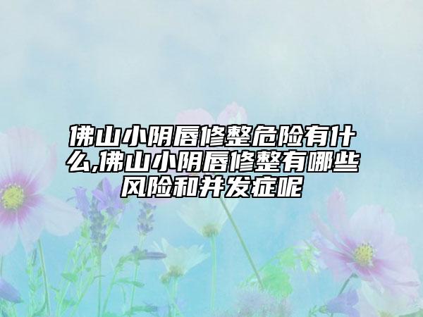 佛山小陰唇修整危險有什么,佛山小陰唇修整有哪些風險和并發(fā)癥呢