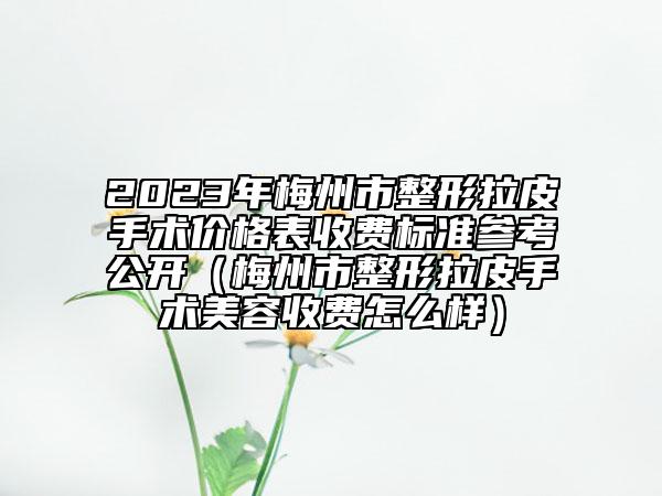 2023年梅州市整形拉皮手術(shù)價格表收費(fèi)標(biāo)準(zhǔn)參考公開（梅州市整形拉皮手術(shù)美容收費(fèi)怎么樣）