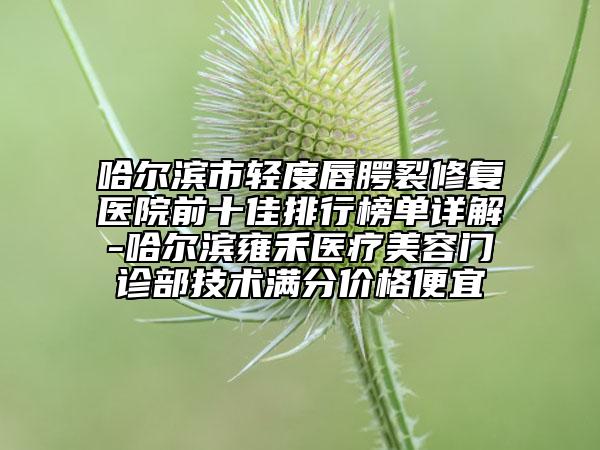 哈爾濱市輕度唇腭裂修復(fù)醫(yī)院前十佳排行榜單詳解-哈爾濱雍禾醫(yī)療美容門診部技術(shù)滿分價格便宜
