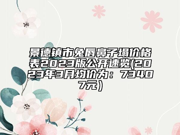 景德鎮(zhèn)市兔唇鼻子塌價(jià)格表2023版公開速覽(2023年3月均價(jià)為：73407元）