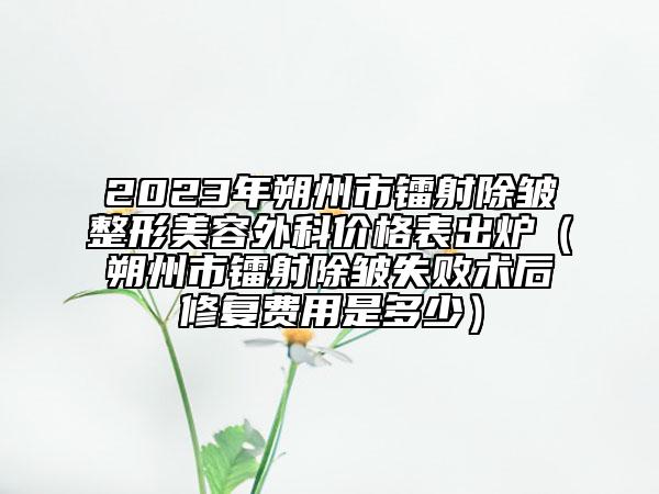 2023年朔州市鐳射除皺整形美容外科價格表出爐（朔州市鐳射除皺失敗術后修復費用是多少）