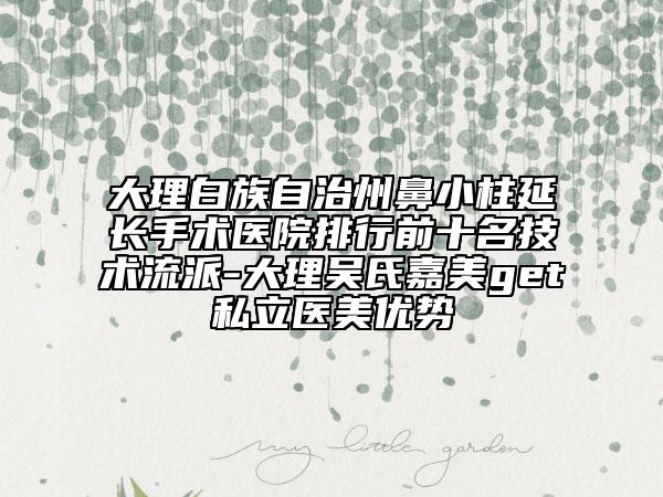 大理白族自治州鼻小柱延長手術醫(yī)院排行前十名技術流派-大理吳氏嘉美get私立醫(yī)美優(yōu)勢