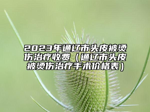 2023年通遼市頭皮被燙傷治療收費（通遼市頭皮被燙傷治療手術(shù)價格表）