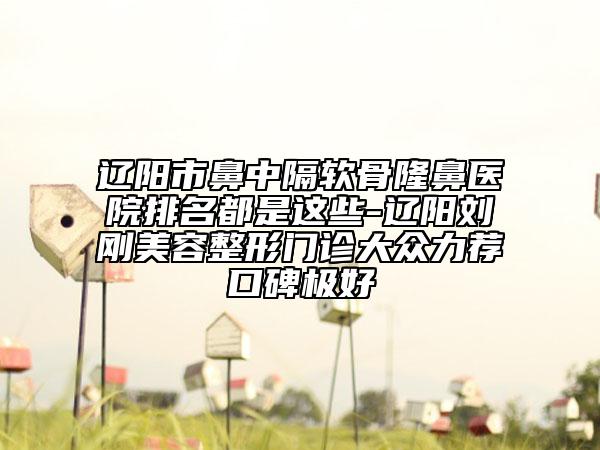 遼陽市鼻中隔軟骨隆鼻醫(yī)院排名都是這些-遼陽劉剛美容整形門診大眾力薦口碑極好