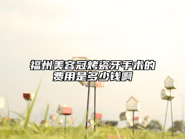 福州美容冠烤瓷牙手術(shù)的費(fèi)用是多少錢啊