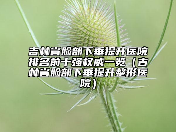 吉林省臉部下垂提升醫(yī)院排名前十強(qiáng)權(quán)威一覽（吉林省臉部下垂提升整形醫(yī)院）