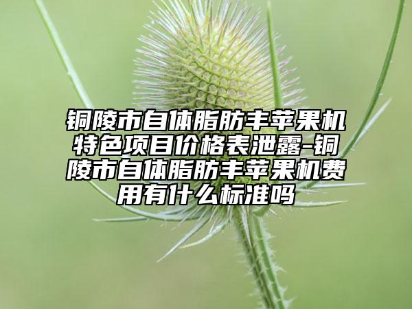 銅陵市自體脂肪豐蘋(píng)果機(jī)特色項(xiàng)目?jī)r(jià)格表泄露-銅陵市自體脂肪豐蘋(píng)果機(jī)費(fèi)用有什么標(biāo)準(zhǔn)嗎