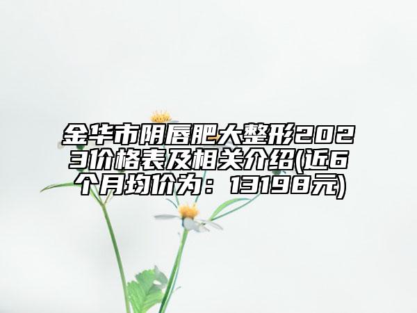 金華市陰唇肥大整形2023價格表及相關(guān)介紹(近6個月均價為：13198元)
