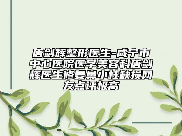 唐劍輝整形醫(yī)生-咸寧市中心醫(yī)院醫(yī)學美容科唐劍輝醫(yī)生修復鼻小柱缺損網友點評極高