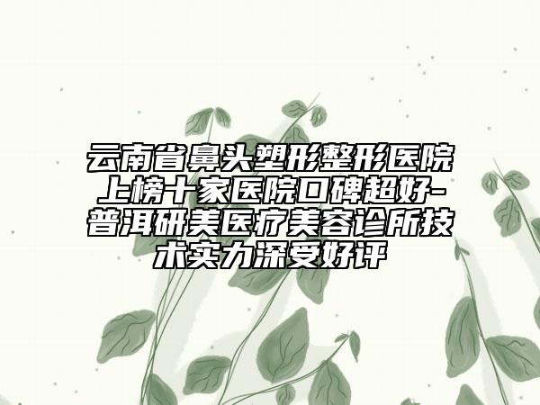 云南省鼻頭塑形整形醫(yī)院上榜十家醫(yī)院口碑超好-普洱研美醫(yī)療美容診所技術(shù)實力深受好評