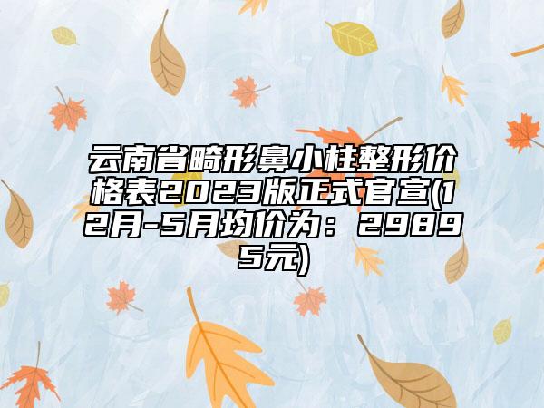 云南省畸形鼻小柱整形價格表2023版正式官宣(12月-5月均價為：29895元)