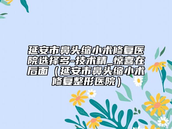 延安市鼻頭縮小術(shù)修復(fù)醫(yī)院選擇多-技術(shù)精_驚喜在后面（延安市鼻頭縮小術(shù)修復(fù)整形醫(yī)院）