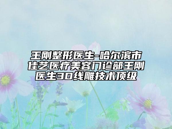 王剛整形醫(yī)生-哈爾濱市佳藝醫(yī)療美容門診部王剛醫(yī)生3D線雕技術(shù)頂級