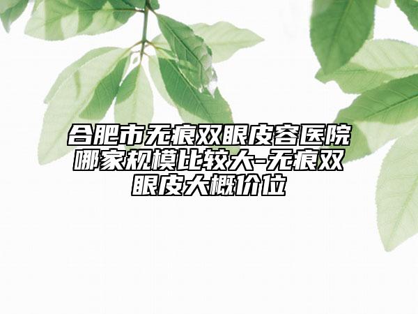 合肥市無痕雙眼皮容醫(yī)院哪家規(guī)模比較大-無痕雙眼皮大概價位