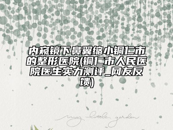 內(nèi)窺鏡下鼻翼縮小銅仁市的整形醫(yī)院(銅仁市人民醫(yī)院醫(yī)生實(shí)力測(cè)評(píng)_網(wǎng)友反饋)