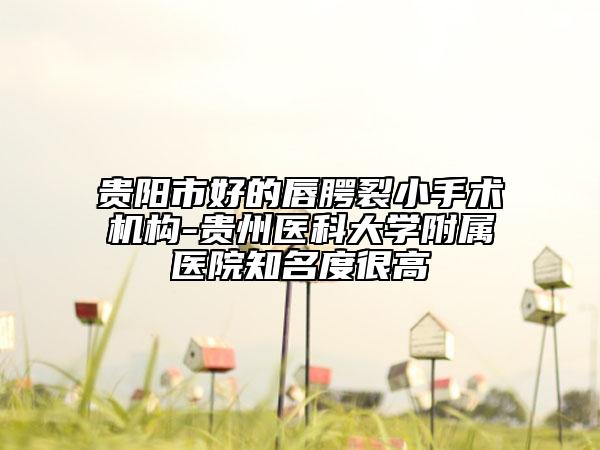 貴陽市好的唇腭裂小手術(shù)機(jī)構(gòu)-貴州醫(yī)科大學(xué)附屬醫(yī)院知名度很高