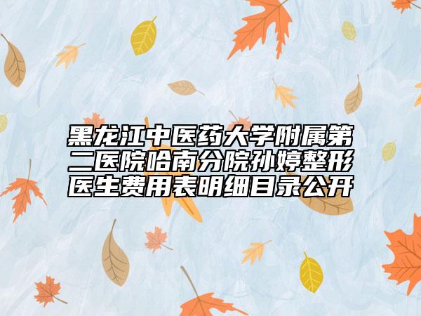 黑龍江中醫(yī)藥大學(xué)附屬第二醫(yī)院哈南分院孫婷整形醫(yī)生費(fèi)用表明細(xì)目錄公開