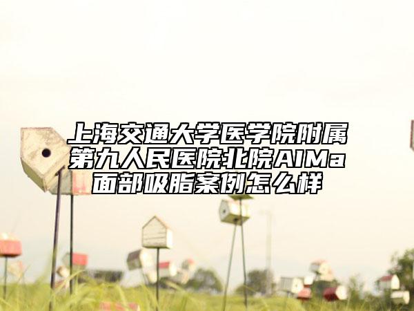 上海交通大學(xué)醫(yī)學(xué)院附屬第九人民醫(yī)院北院AIMa面部吸脂案例怎么樣