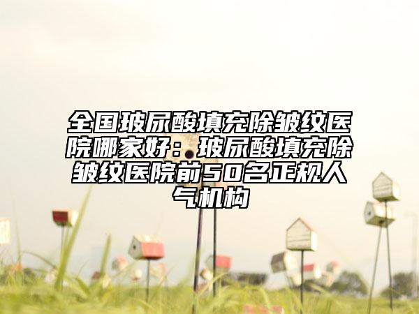 全國玻尿酸填充除皺紋醫(yī)院哪家好：玻尿酸填充除皺紋醫(yī)院前50名正規(guī)人氣機(jī)構(gòu)