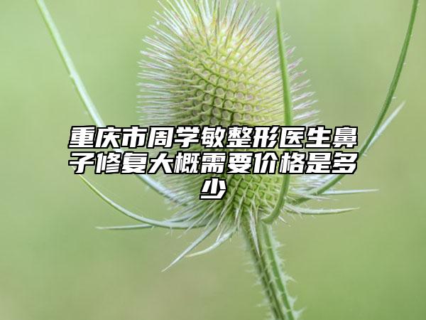重慶市周學敏整形醫(yī)生鼻子修復大概需要價格是多少