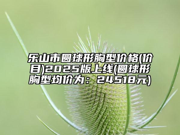 樂山市圓球形胸型價格(價目)2025版上線(圓球形胸型均價為:24518元)