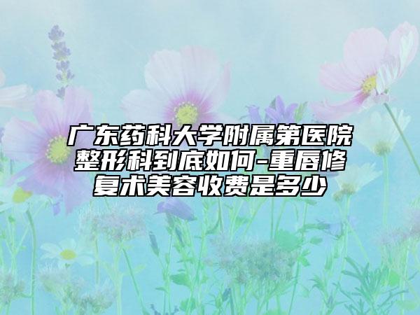 廣東藥科大學(xué)附屬第醫(yī)院整形科到底如何-重唇修復(fù)術(shù)美容收費(fèi)是多少