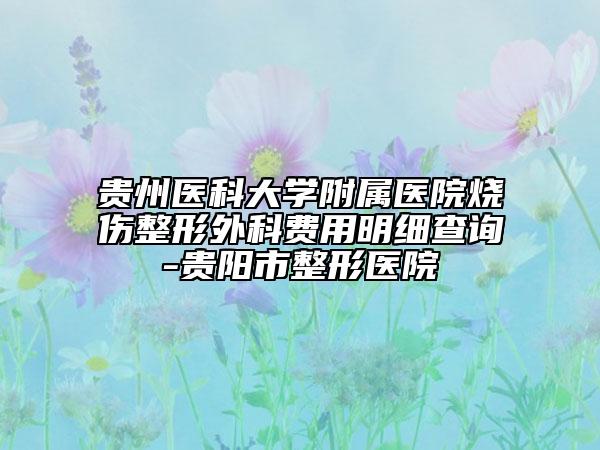 貴州醫(yī)科大學(xué)附屬醫(yī)院燒傷整形外科費(fèi)用明細(xì)查詢-貴陽市整形醫(yī)院