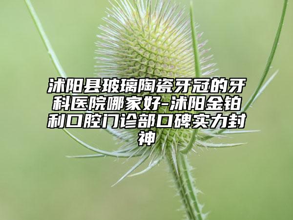 沭陽縣玻璃陶瓷牙冠的牙科醫(yī)院哪家好-沭陽金鉑利口腔門診部口碑實力封神