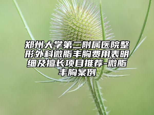 鄭州大學(xué)第二附屬醫(yī)院整形外科微脂豐胸費(fèi)用表明細(xì)及擅長項(xiàng)目推薦-微脂豐胸案例