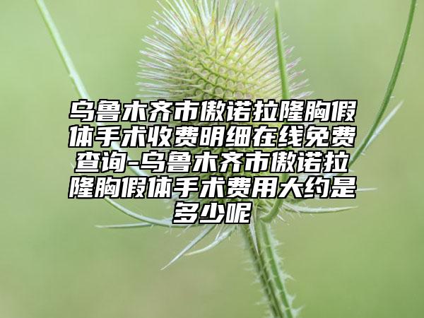 烏魯木齊市傲諾拉隆胸假體手術(shù)收費(fèi)明細(xì)在線免費(fèi)查詢-烏魯木齊市傲諾拉隆胸假體手術(shù)費(fèi)用大約是多少呢