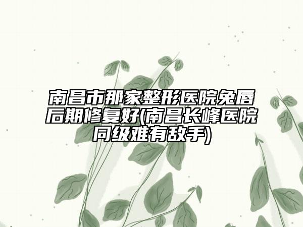 南昌市那家整形醫(yī)院兔唇后期修復(fù)好(南昌長(zhǎng)峰醫(yī)院同級(jí)難有敵手)