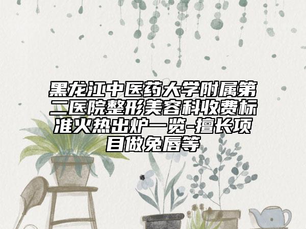 黑龍江中醫(yī)藥大學(xué)附屬第二醫(yī)院整形美容科收費標準火熱出爐一覽-擅長項目做兔唇等