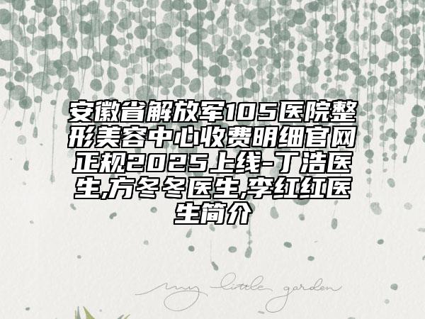安徽省解放軍105醫(yī)院整形美容中心收費明細(xì)官網(wǎng)正規(guī)2025上線-丁浩醫(yī)生,方冬冬醫(yī)生,李紅紅醫(yī)生簡介