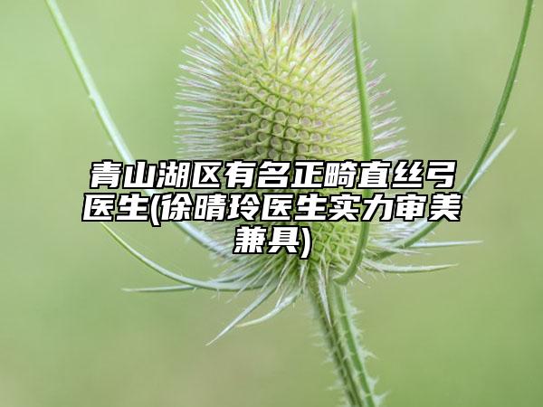 青山湖區(qū)有名正畸直絲弓醫(yī)生(徐晴玲醫(yī)生實(shí)力審美兼具)