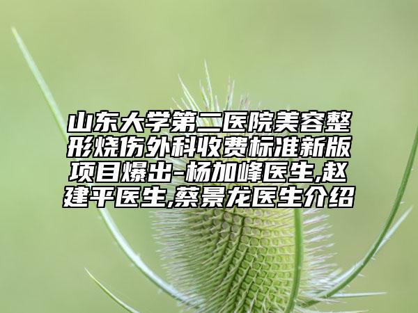 山東大學(xué)第二醫(yī)院美容整形燒傷外科收費(fèi)標(biāo)準(zhǔn)新版項(xiàng)目爆出-楊加峰醫(yī)生,趙建平醫(yī)生,蔡景龍醫(yī)生介紹