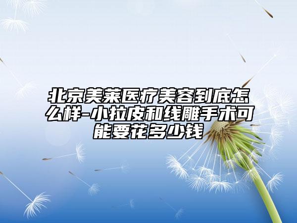 北京美萊醫(yī)療美容到底怎么樣-小拉皮和線雕手術(shù)可能要花多少錢