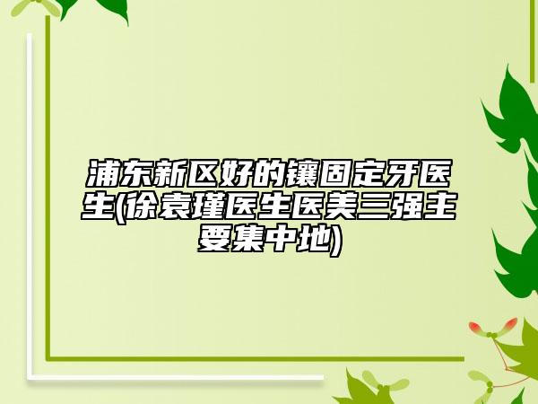浦東新區(qū)好的鑲固定牙醫(yī)生(徐袁瑾醫(yī)生醫(yī)美三強主要集中地)