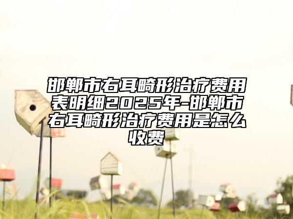 邯鄲市右耳畸形治療費用表明細(xì)2025年-邯鄲市右耳畸形治療費用是怎么收費