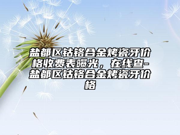 鹽都區(qū)鈷鉻合金烤瓷牙價格收費表曝光，在線查-鹽都區(qū)鈷鉻合金烤瓷牙價格