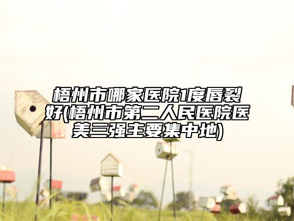梧州市哪家醫(yī)院1度唇裂好(梧州市第二人民醫(yī)院醫(yī)美三強主要集中地)