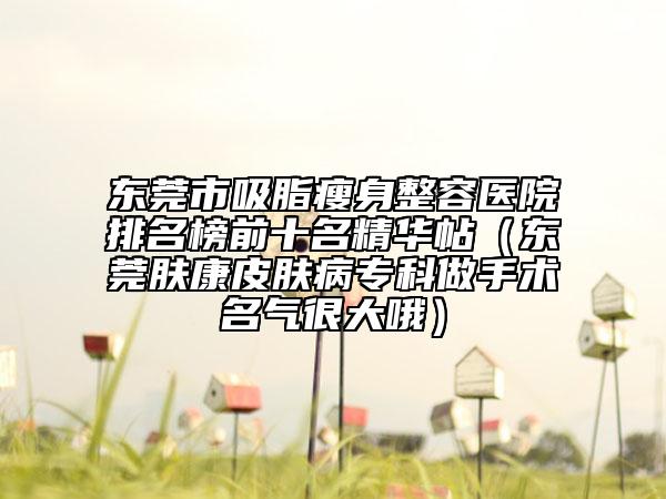東莞市吸脂瘦身整容醫(yī)院排名榜前十名精華帖（東莞膚康皮膚病專(zhuān)科做手術(shù)名氣很大哦）