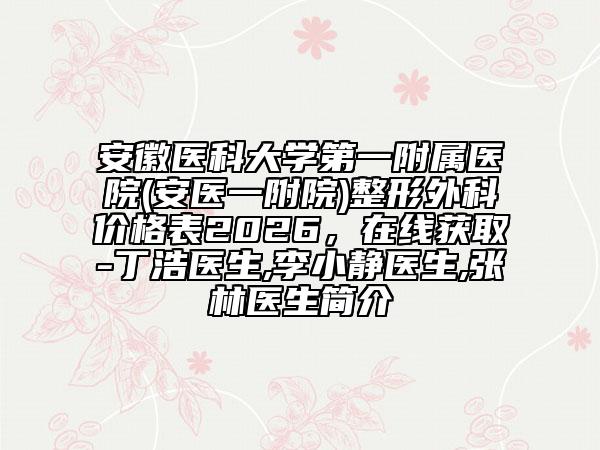 安徽醫(yī)科大學第一附屬醫(yī)院(安醫(yī)一附院)整形外科價格表2026，在線獲取-丁浩醫(yī)生,李小靜醫(yī)生,張林醫(yī)生簡介