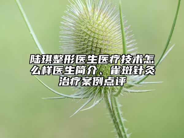 陸琪整形醫(yī)生醫(yī)療技術(shù)怎么樣醫(yī)生簡介、雀斑針灸治療案例點評