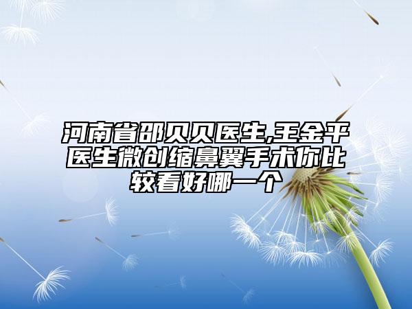 河南省邵貝貝醫(yī)生,王金平醫(yī)生微創(chuàng)縮鼻翼手術(shù)你比較看好哪一個